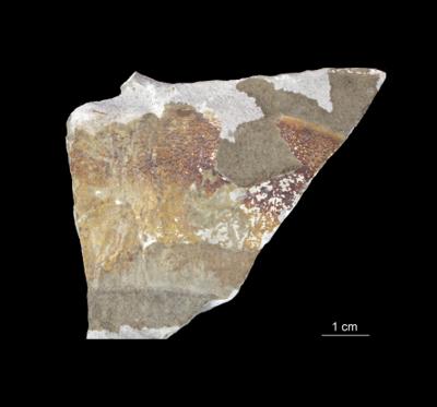 https://files.geocollections.info/large/32/5b/325b1860-10bb-46a6-8c55-df63951f7e50.jpg