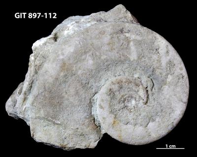 https://files.geocollections.info/large/32/a3/32a3e8dd-40ff-40cd-87a5-af3f53f7cde5.jpg