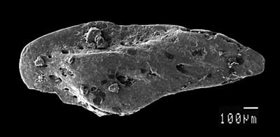 https://files.geocollections.info/large/33/4a/334aea44-a652-4e08-bcb9-7af57d75d0a9.jpg