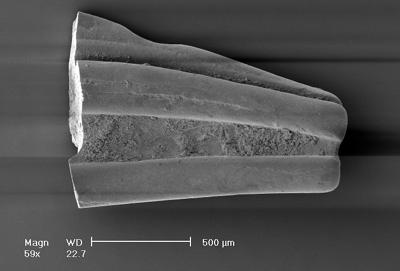 https://files.geocollections.info/large/33/b7/33b7d85d-9d69-4e76-9a13-da3ab8d57110.jpg