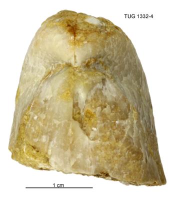 https://files.geocollections.info/large/33/bb/33bbfdb7-dbbf-44f7-b0b1-a97dda7fe6e4.jpg