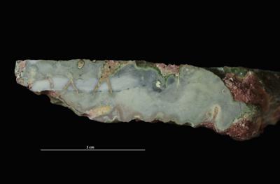 <i></i><br />Syass River, Rebrovo, Leningrad District,  m, Volkhov Stage