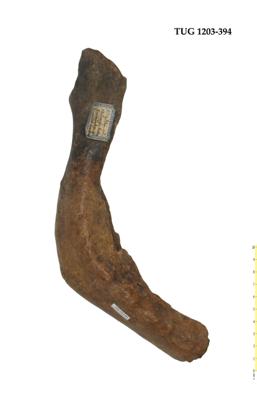 https://files.geocollections.info/large/34/02/34023c66-0a49-40dd-b63d-b83b59091ffd.jpg