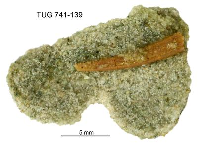 https://files.geocollections.info/large/34/19/34191337-1f3f-4839-8abf-267d5c7a3899.jpg