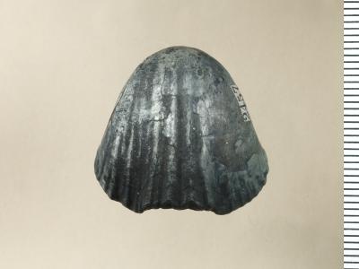 https://files.geocollections.info/large/34/89/348973a8-6c21-4a7f-99ba-d32bcd792b08.jpg