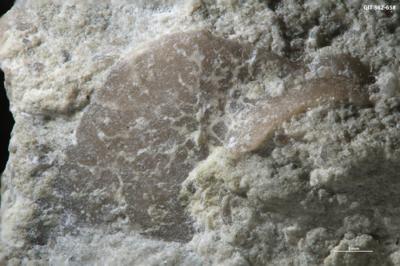 <i></i><br />Pärnu 1 borehole,  m, Keila Stage