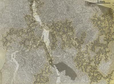 https://files.geocollections.info/large/35/0e/350eb41c-8454-4a16-894f-96c07b2e4d5b.jpg