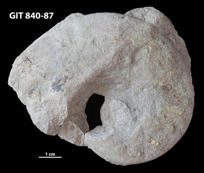https://files.geocollections.info/large/35/0f/350f2e71-ac33-492e-abad-f2e29fd3726a.jpg