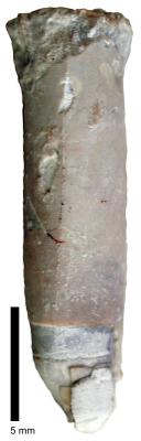 https://files.geocollections.info/large/35/2a/352a7cd7-3457-4f0b-9b4e-cff215a8bf5e.jpg