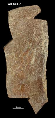 https://files.geocollections.info/large/35/34/3534c12a-1489-47d5-a2ab-6f1b064dea93.jpg