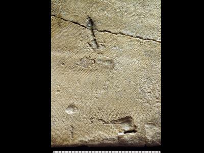 https://files.geocollections.info/large/35/37/35370fab-202b-46f0-865f-fda11b04c4fe.jpg