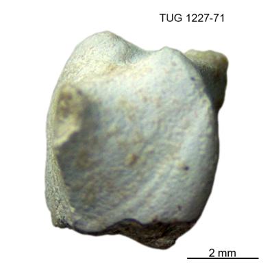 https://files.geocollections.info/large/35/98/3598b189-40e3-4765-9f73-33802fc94810.jpg