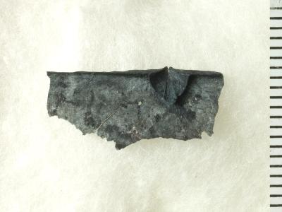 https://files.geocollections.info/large/35/a1/35a184b9-3b30-4bd1-b480-e2ced4bb3ab0.jpg