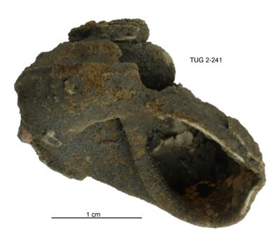https://files.geocollections.info/large/35/cb/35cbe54d-4b7a-4c1a-ab1d-e857711db718.jpg