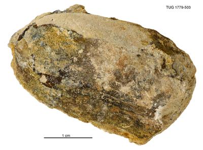 https://files.geocollections.info/large/36/38/363829bd-74d9-4df1-bb9b-8caa59063bc3.jpg