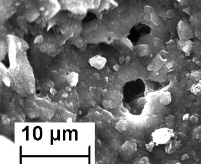 https://files.geocollections.info/large/36/76/3676f76c-d6d7-4ff0-acf2-392a36c8f943.jpg
