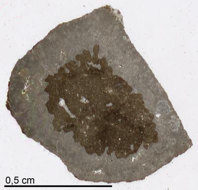 https://files.geocollections.info/large/36/7e/367e740b-9f1f-4097-9876-a01a0e0cbcd4.jpg