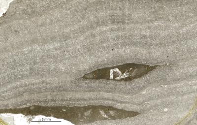 https://files.geocollections.info/large/37/92/3792573e-e97e-4ed2-a343-24fcd686a87a.jpg