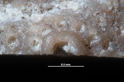 https://files.geocollections.info/large/37/a7/37a7e2b8-96d7-4bc3-9cfa-5c1c53a6a2b3.jpg