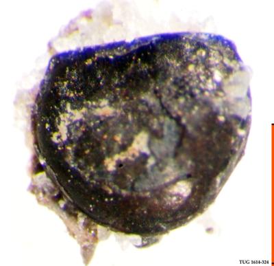https://files.geocollections.info/large/37/b8/37b84a41-487b-4f09-b4ec-55b7b2622746.jpg