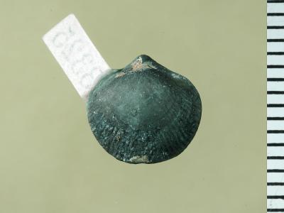 https://files.geocollections.info/large/37/c3/37c31bed-4686-4339-854f-7864de3db400.jpg