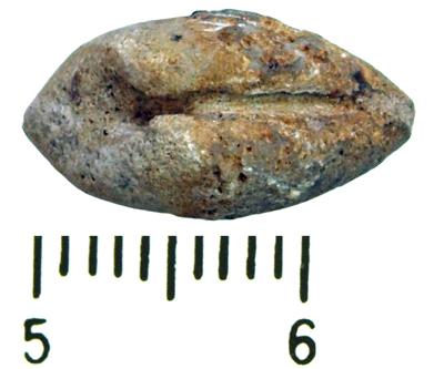 https://files.geocollections.info/large/38/43/38436464-9d20-447a-ba62-b590155643c6.jpg