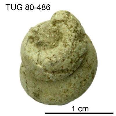 https://files.geocollections.info/large/38/4c/384c7554-f20e-4239-8cf8-f55996fb7498.jpg