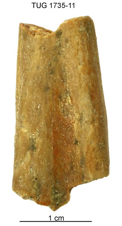 https://files.geocollections.info/large/38/50/3850edc2-b020-4c3f-936f-eadf4a5a3646.jpg