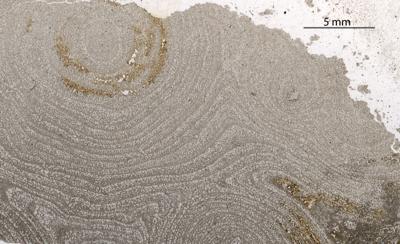 https://files.geocollections.info/large/38/73/38733522-ee96-4096-b577-51866e291305.jpg