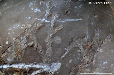 https://files.geocollections.info/large/38/e6/38e65a4b-16d8-4568-bf51-412f553c8e16.jpg