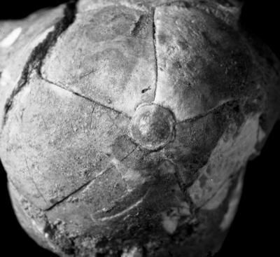 https://files.geocollections.info/large/39/0d/390d30b4-6bdd-41ea-b8aa-f61f925819a9.jpg