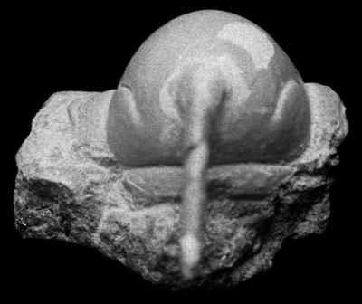 https://files.geocollections.info/large/39/6b/396b1c8b-db0a-4c61-a5f2-1f58230d2e19.jpg