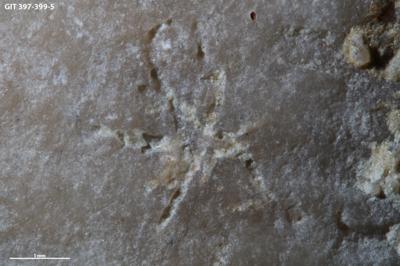 <i></i><br />Kesselaid,  m, Adavere Stage