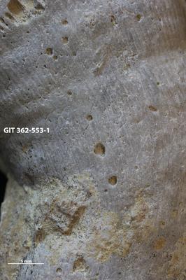 <i></i><br />Hosholm shore,  m, Pirgu Stage