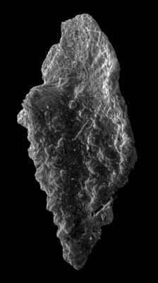 https://files.geocollections.info/large/3a/73/3a7336e1-041a-4883-bb35-d387cc865d52.jpg