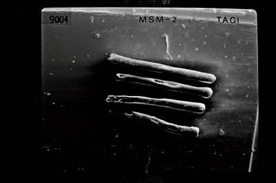 <i><i>Rhabdochitina</i> | Rhabdochitina sp.</i><br />Ruhnu 500 borehole, 392.80 m, Jaagarahu Stage (754-550)