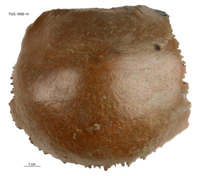 https://files.geocollections.info/large/3b/2a/3b2a497d-619b-430e-8621-8b79d0c141b7.jpg