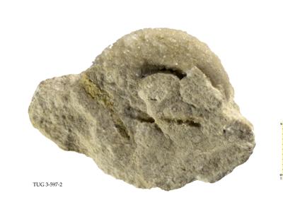 https://files.geocollections.info/large/3b/f3/3bf37d7c-44fb-4747-a387-1902e8abbb16.jpg
