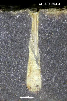 <i></i><br />Ohesaare cliff,  m, Ohesaare Stage