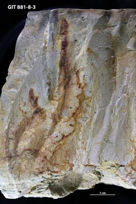 <i></i><br />Sutlema quarry,  m, 