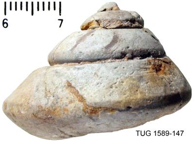 https://files.geocollections.info/large/3c/a0/3ca0c04a-542a-401a-aad3-c59cccb90ec6.jpg