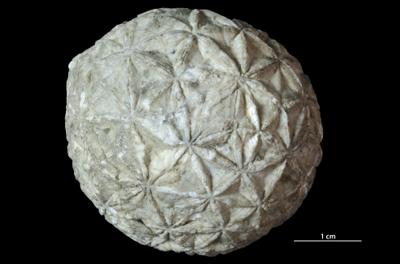 https://files.geocollections.info/large/3c/bf/3cbff535-bf61-4dd6-b7fc-18a1dc3bdf7a.jpg