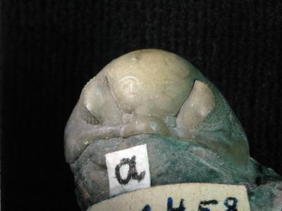 https://files.geocollections.info/large/3c/df/3cdf1a24-22ca-4f93-96da-c6a2767381dc.jpg