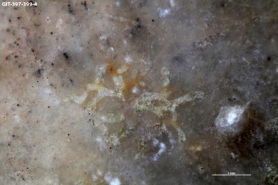 <i></i><br />Kesselaid,  m, Adavere Stage