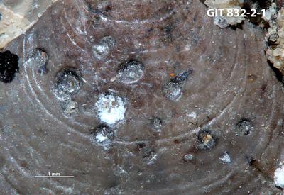 <i></i><br />Ülgase undergound mine,  m, Pakerort Stage