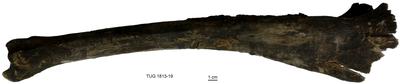 https://files.geocollections.info/large/3d/97/3d9710fa-c28a-45d9-878d-0a7665d27554.jpg