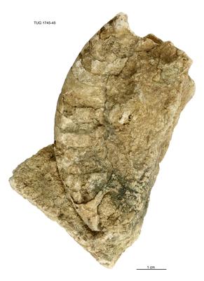https://files.geocollections.info/large/3e/c0/3ec03349-bd52-4c4a-a670-6e50fdf1a788.jpg