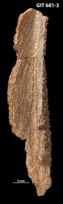 https://files.geocollections.info/large/3f/3f/3f3f3e0f-4814-4c24-8335-9fcc3d68a1cf.jpg