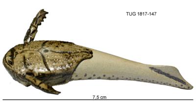 https://files.geocollections.info/large/3f/4b/3f4b4a10-e076-427e-8812-297e1d487c19.jpg