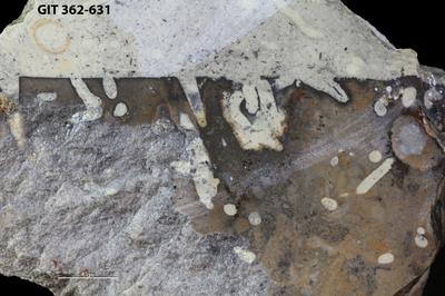 <i></i><br />Sõjamägi,  m, 